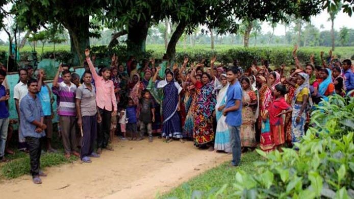 চা শ্রমিকদের দৈনিক মজুরি ২৫ টাকা বাড়িয়ে ১৪৫ টাকা হয়েছে